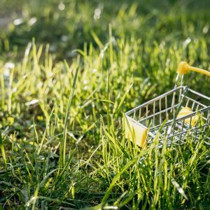 Sustainable procurement. Empty shopping cart on green grass background. Zero waste concept.