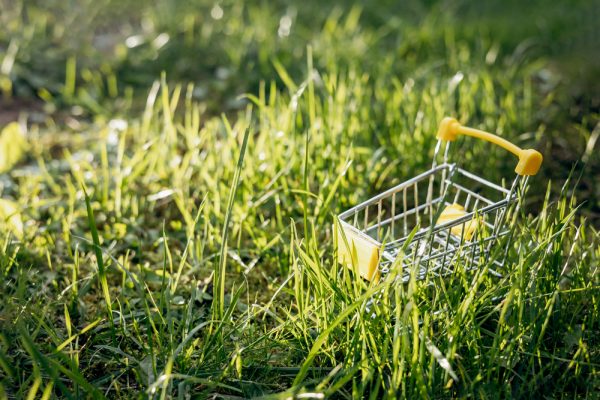 Sustainable procurement. Empty shopping cart on green grass background. Zero waste concept.